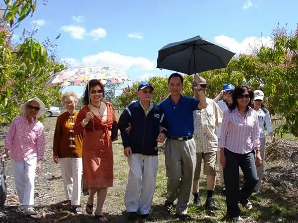 Visiting the Longan Orchard, 2006 